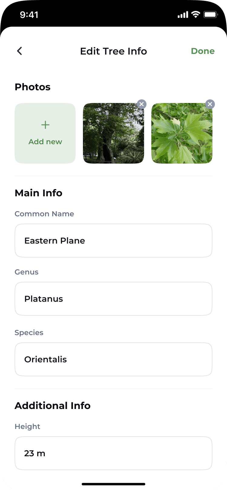 Tremap app: editing tree information
