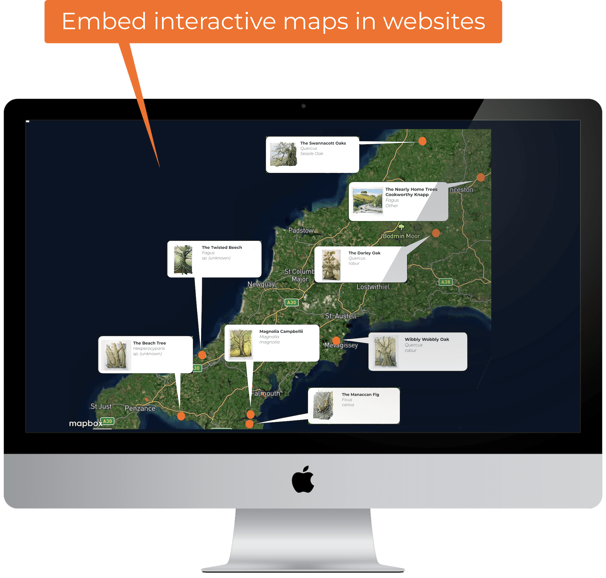 Embed interactive maps in websites