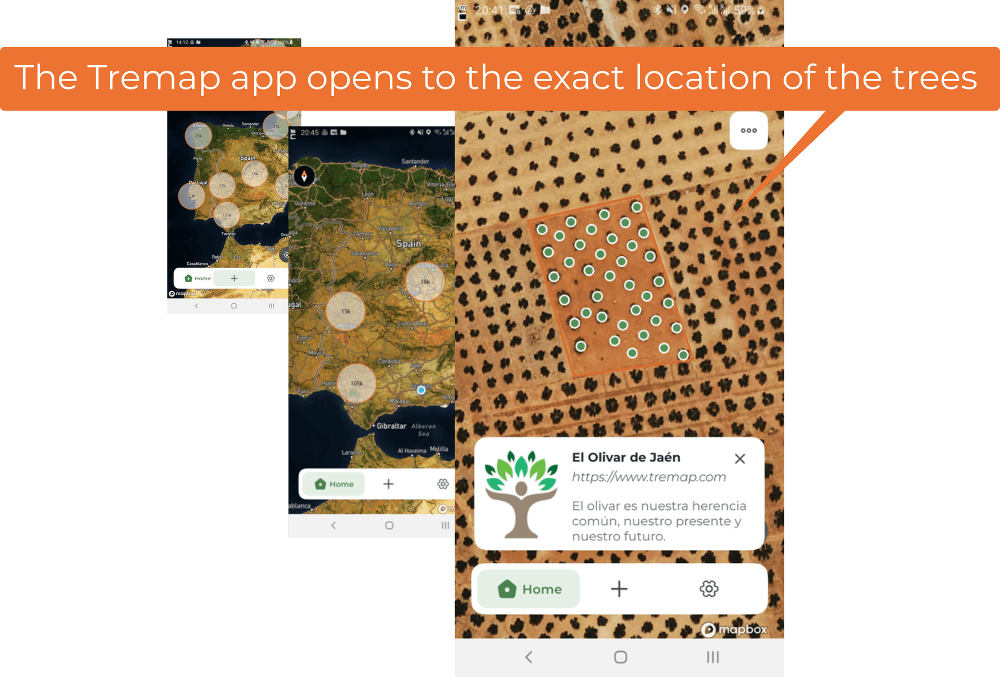 The Tremap app showing an olive grove