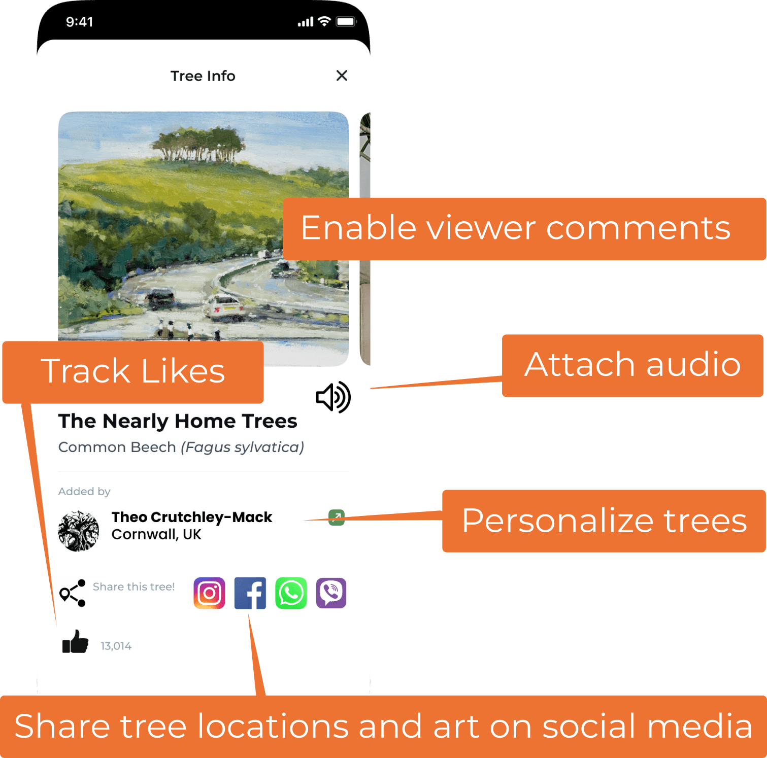 Comments, likes, audio & sharing