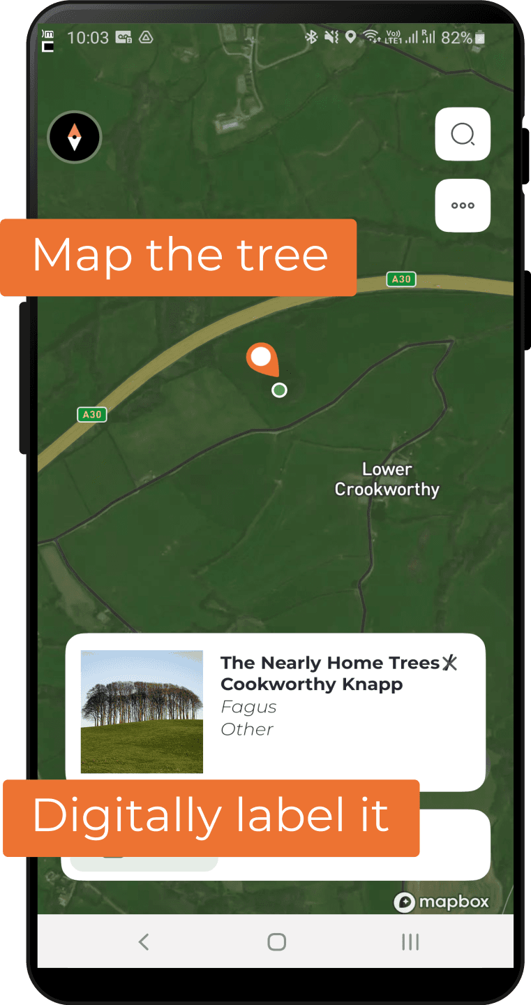 Map the tree & digitally label it